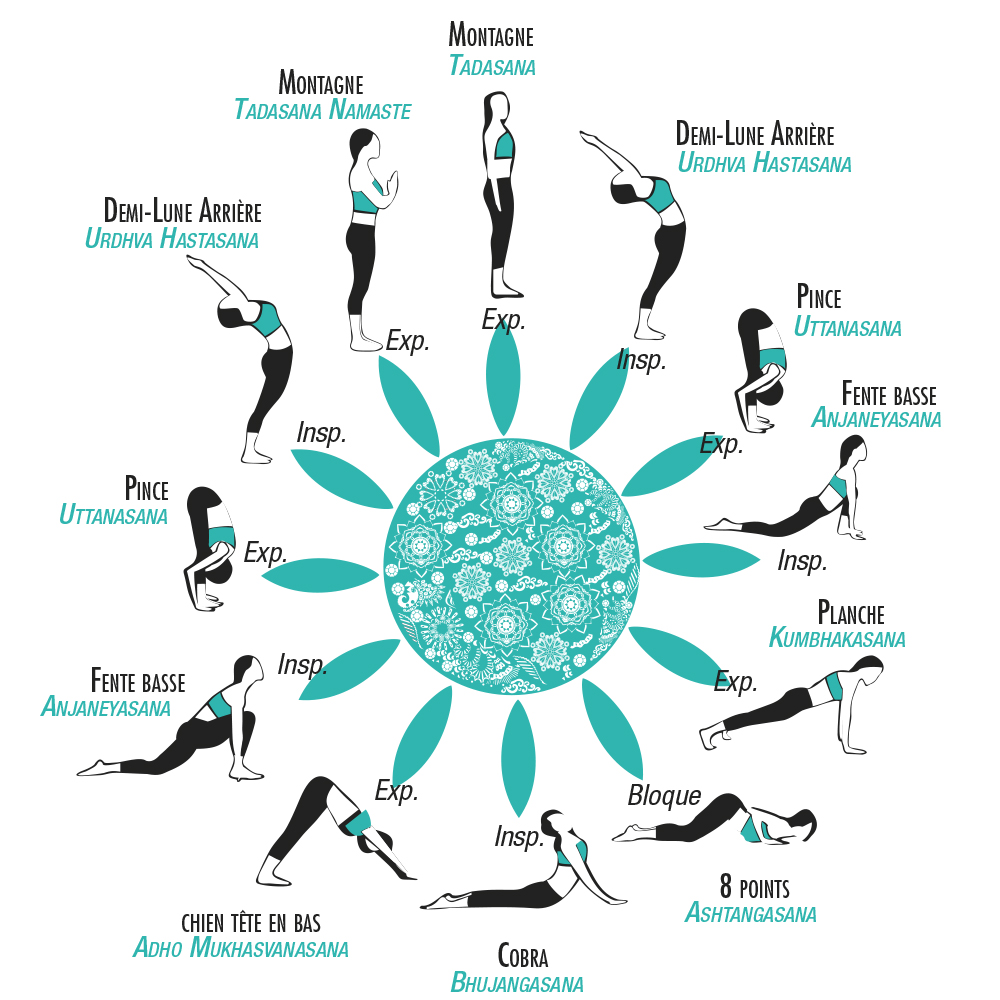 La salutation au soleil A en Hatha yoga, version débutant et intermédiaire  - omniyama yoga